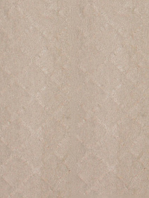 Дитекс 125 беж, 160см, тисн